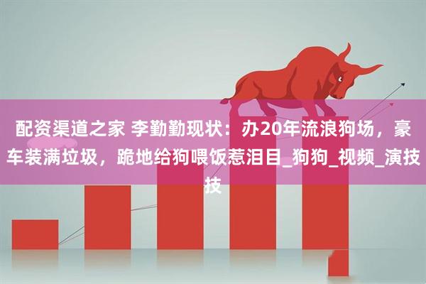 配资渠道之家 李勤勤现状：办20年流浪狗场，豪车装满垃圾，跪地给狗喂饭惹泪目_狗狗_视频_演技