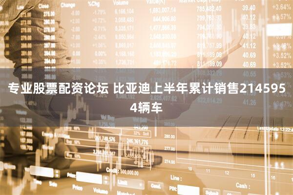 专业股票配资论坛 比亚迪上半年累计销售2145954辆车